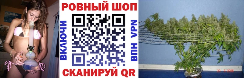 Где купить Волосово Канабис 