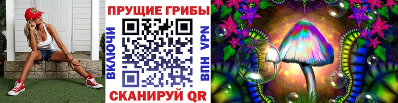 Галлюциногенные грибы Cubensis  купить наркотик  Волосово 