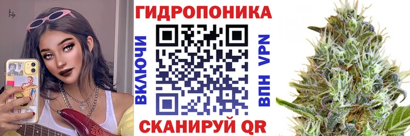 Канабис сатива Волосово